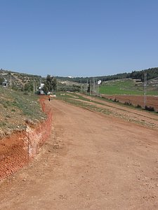 P1010450.JPG