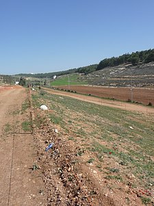 P1010451.JPG