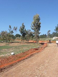 P1010465.JPG
