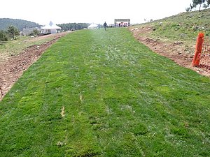 P1010473.JPG