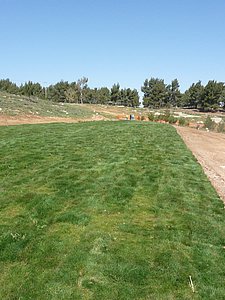 P1010475.JPG
