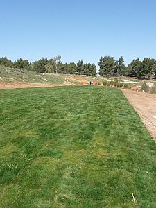 P1010476.JPG