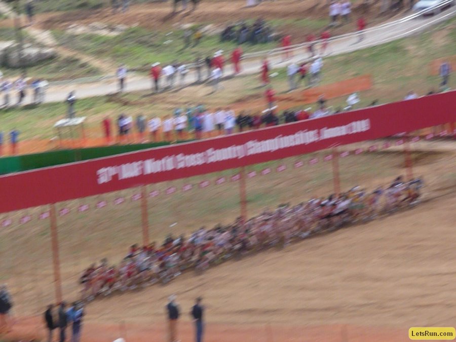 P1010632.JPG