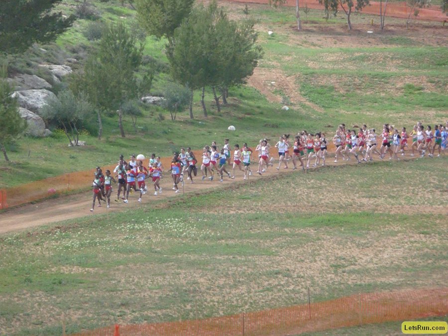 P1010641.JPG