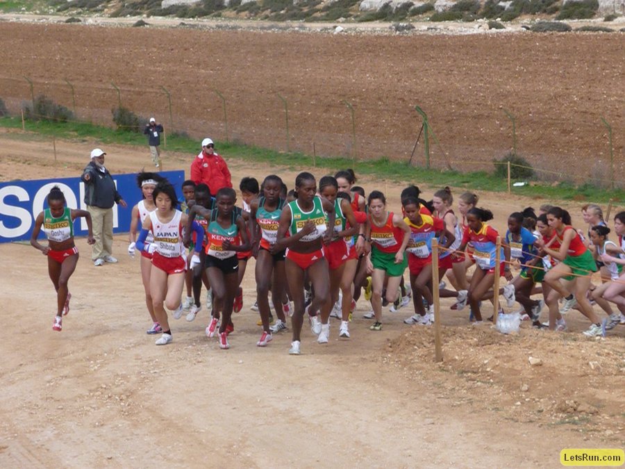 P1010643.JPG
