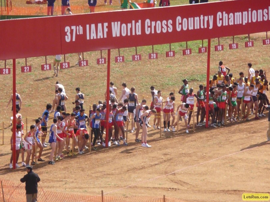 P1010733.JPG