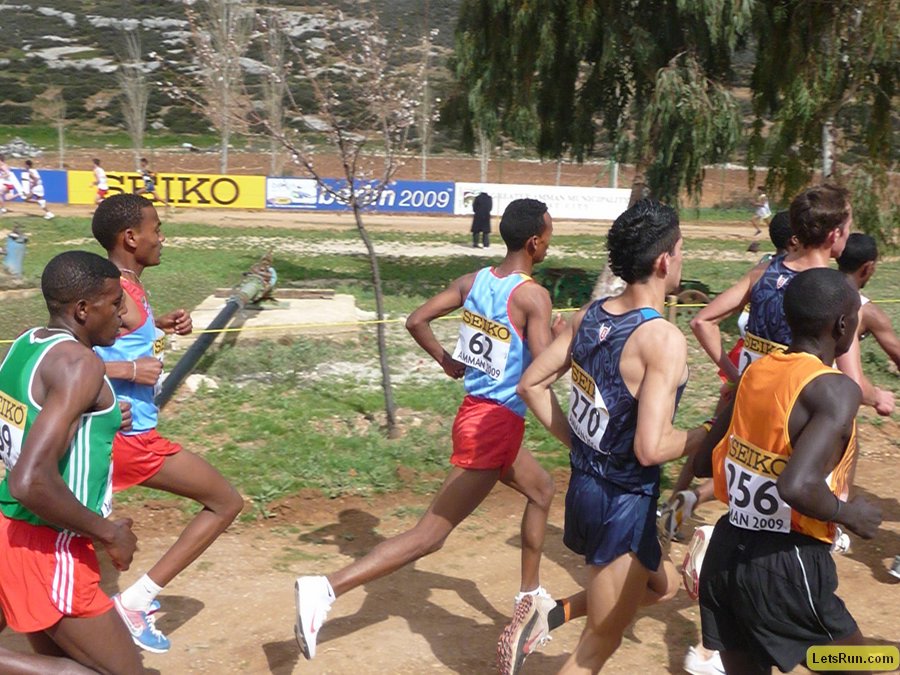 P1010772.JPG