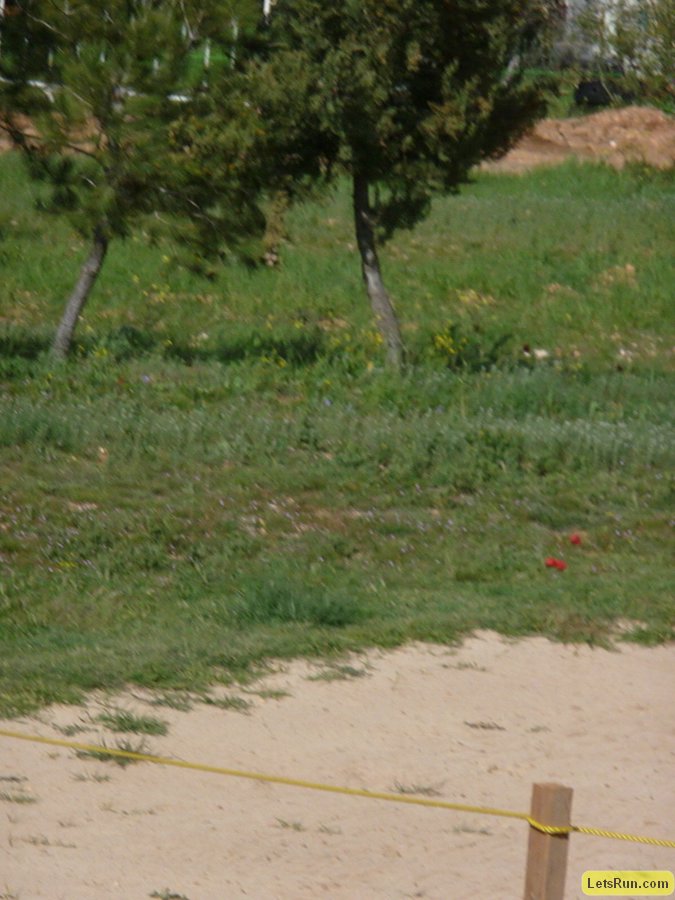 P1010831.JPG
