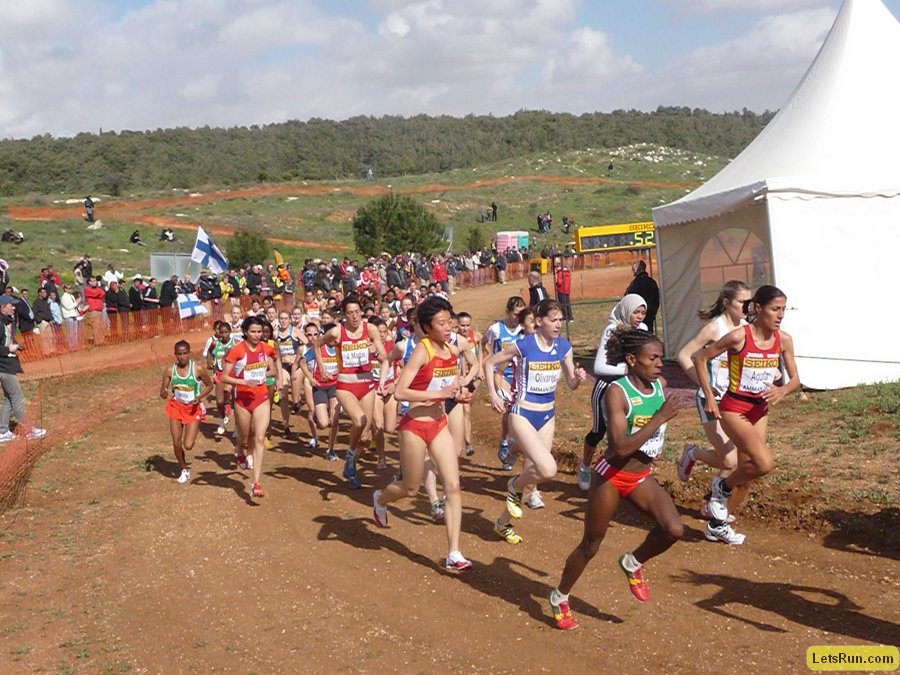 P1010934.JPG