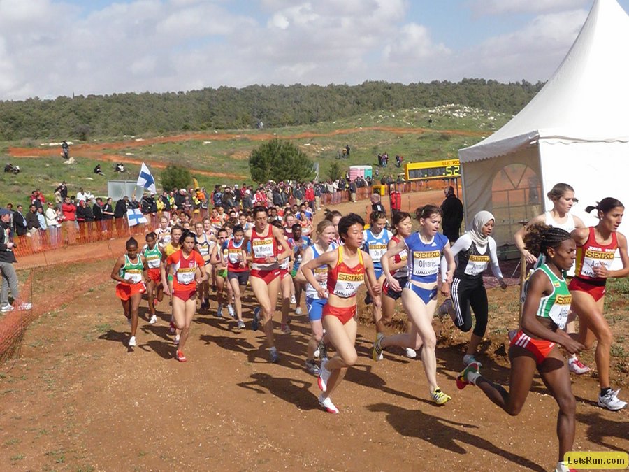 P1010935.JPG