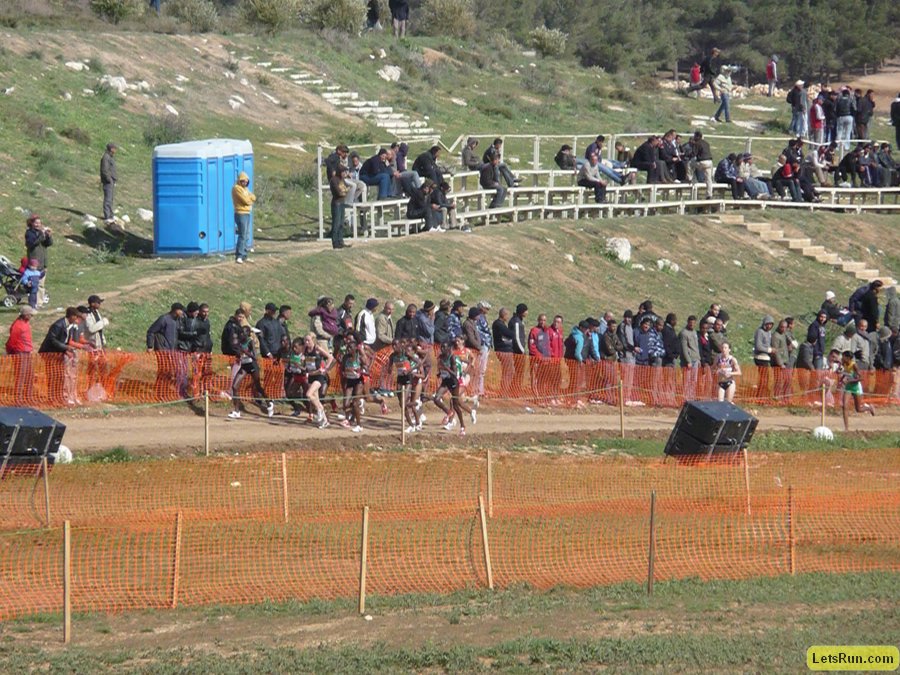 P1010964.JPG