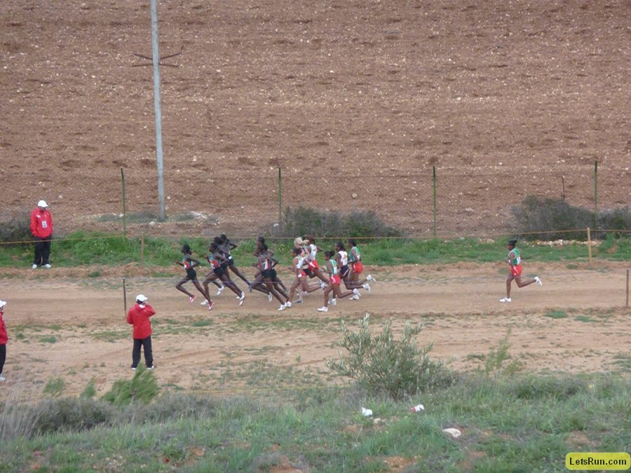 P1020009.JPG