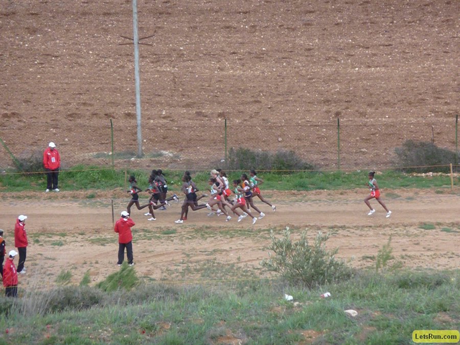 P1020010.JPG