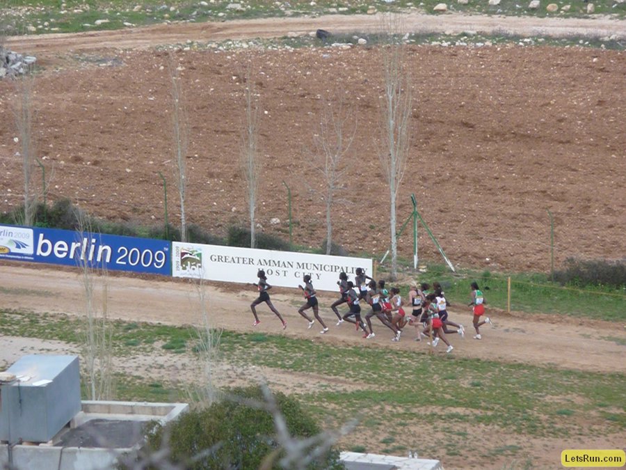 P1020011.JPG