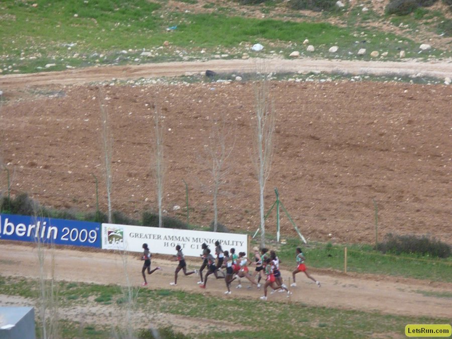 P1020012.JPG