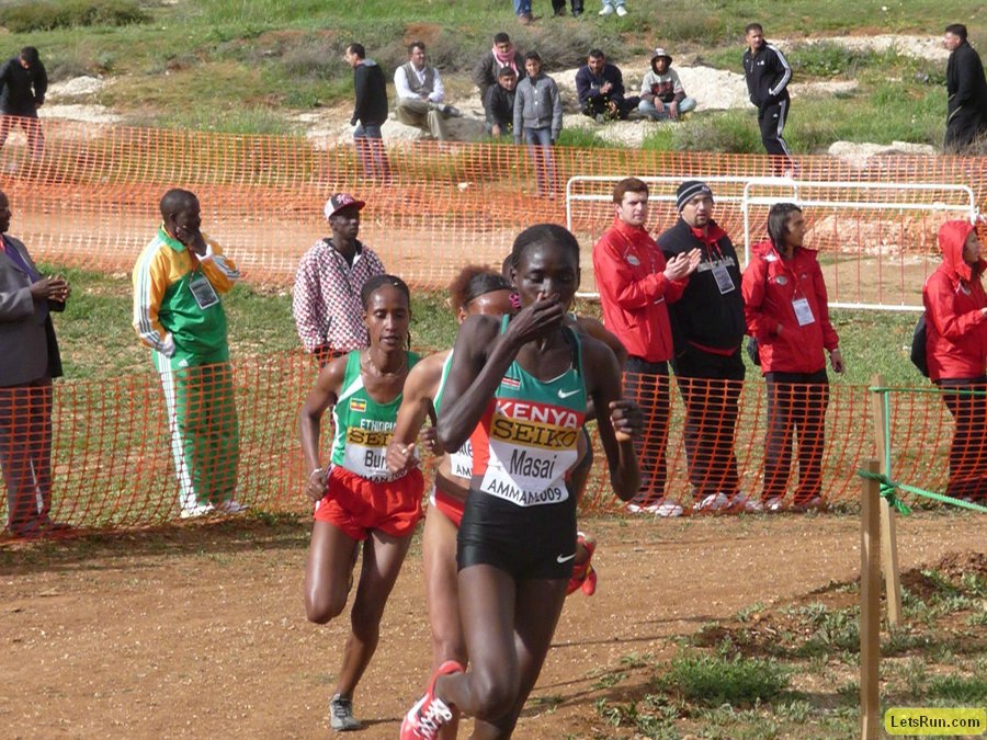 P1020015.JPG