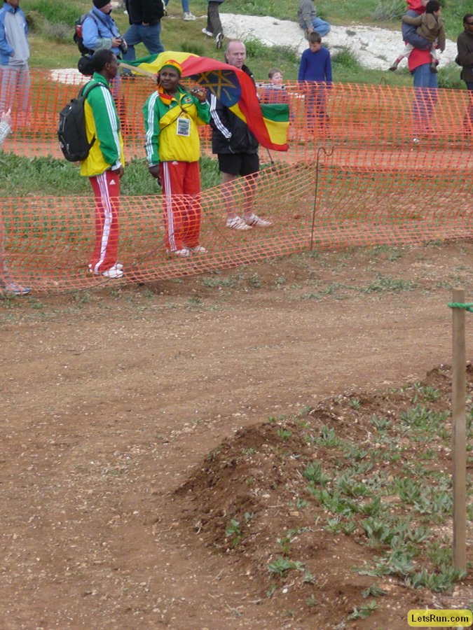 P1020087.JPG