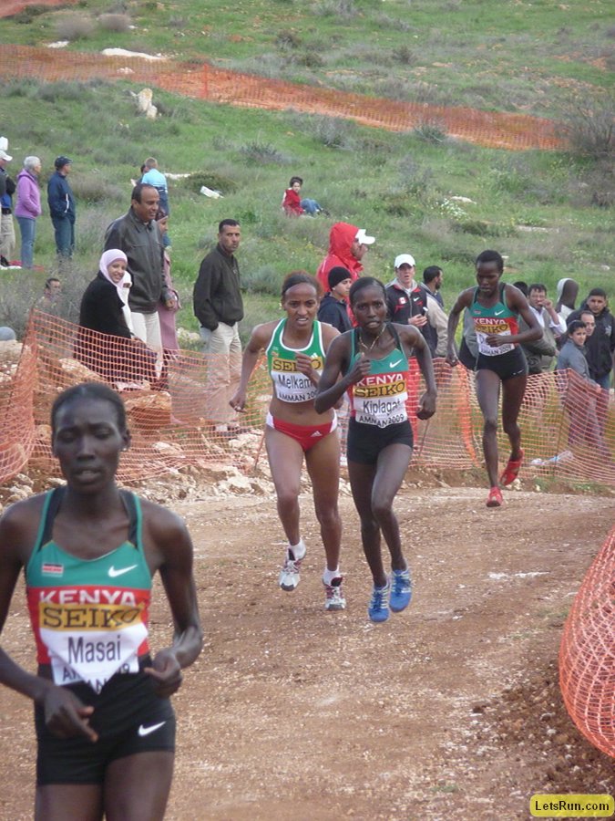 P1020098.JPG