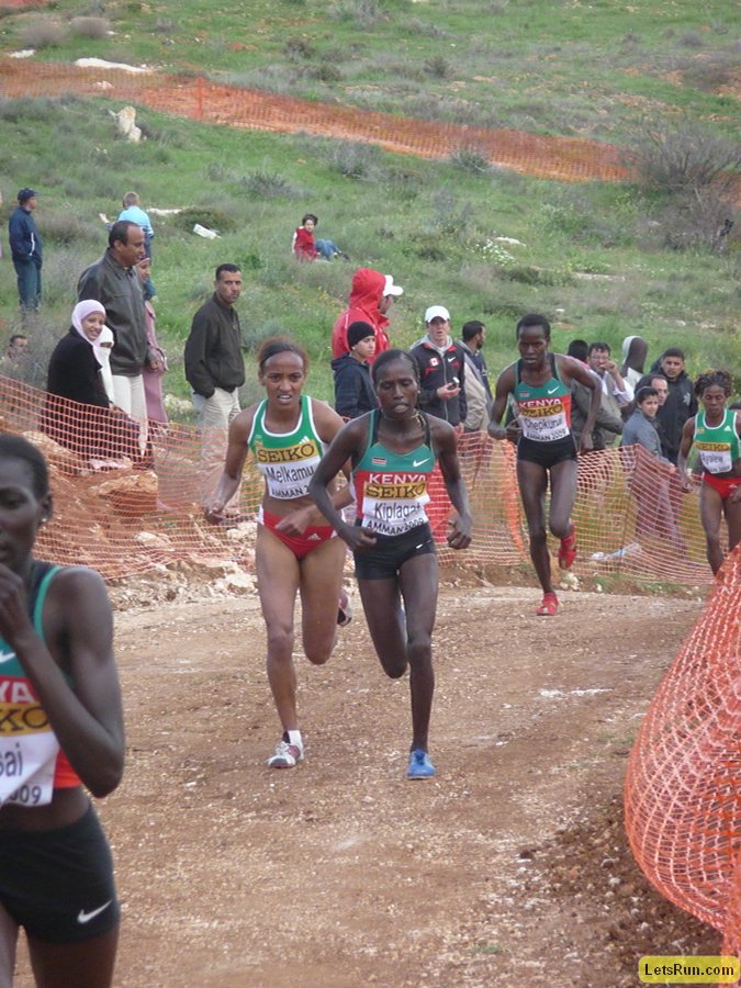 P1020099.JPG