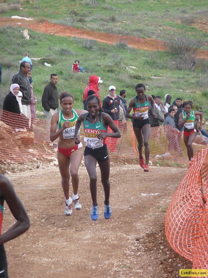 P1020100.JPG