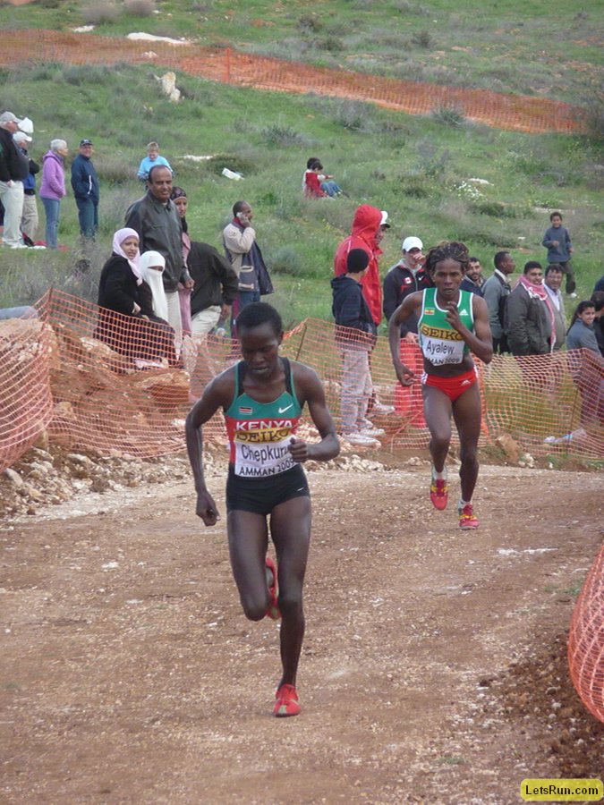 P1020103.JPG