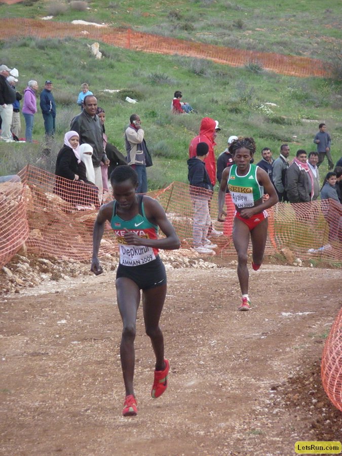 P1020104.JPG