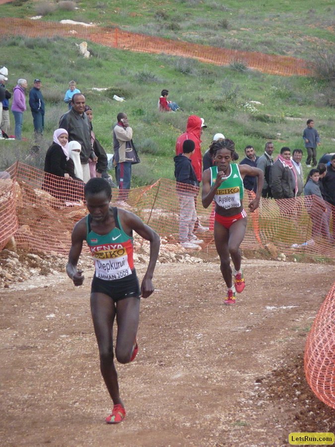 P1020105.JPG