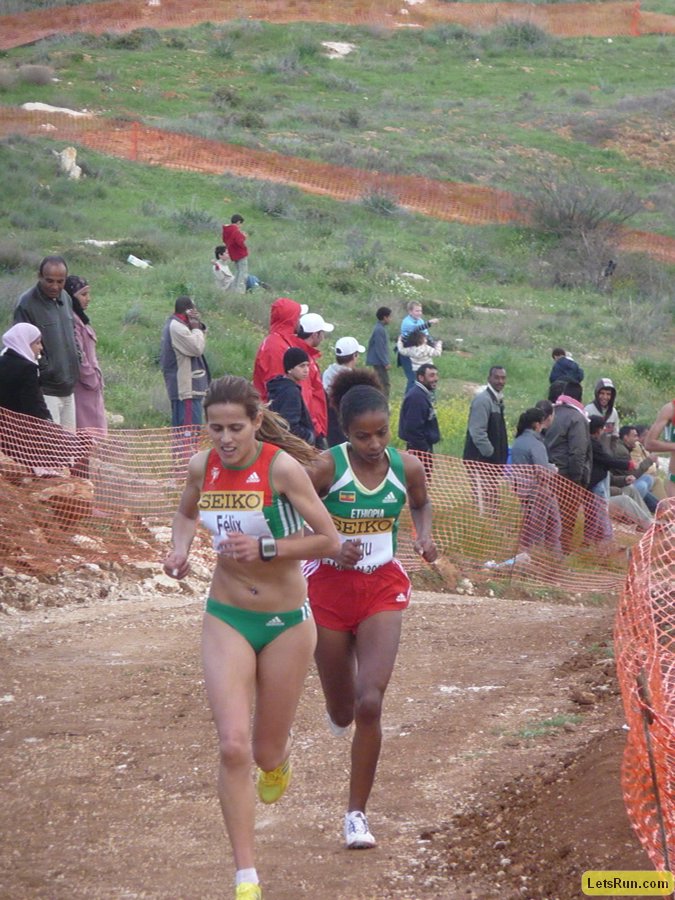 P1020126.JPG