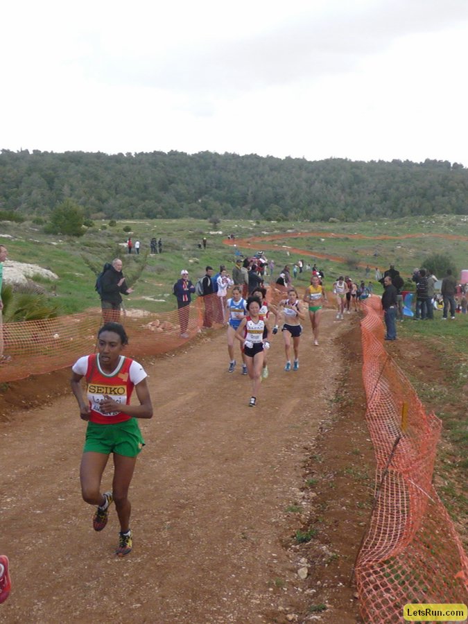 P1020149.JPG