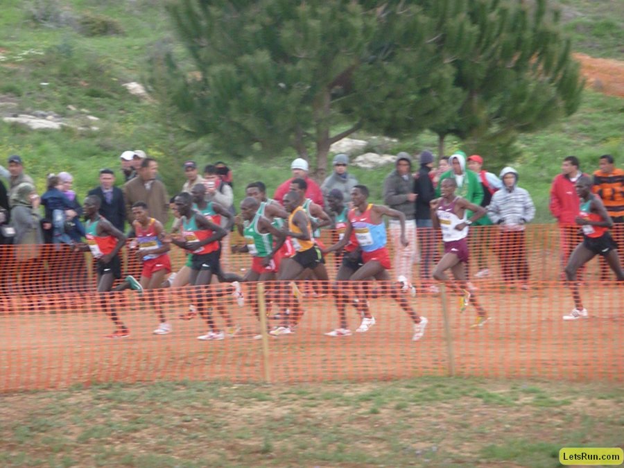P1020372.JPG