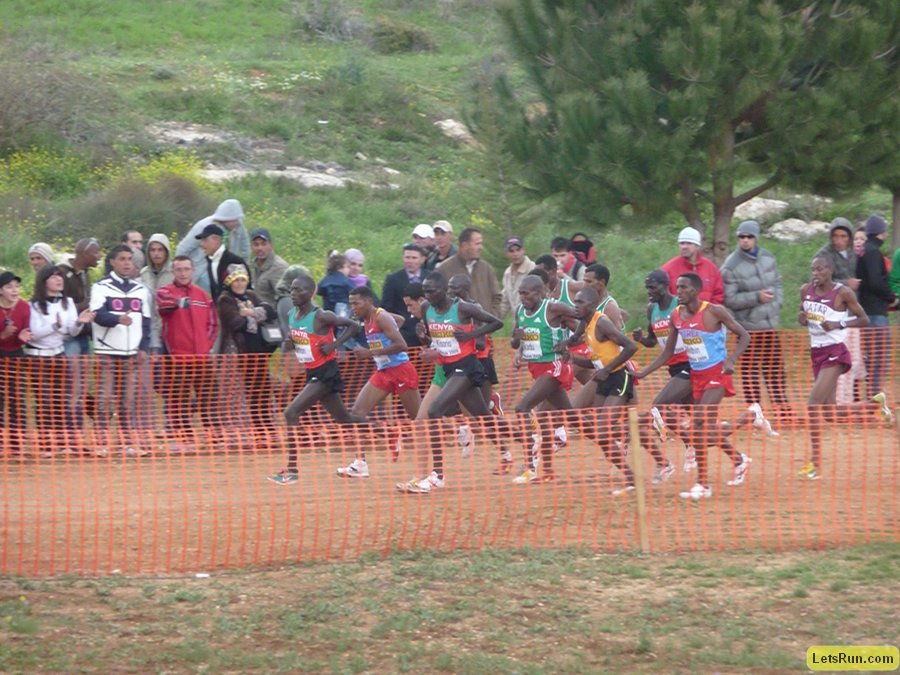 P1020373.JPG