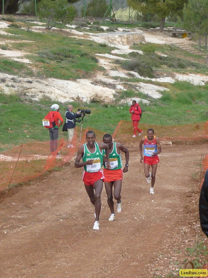 P1020494.JPG
