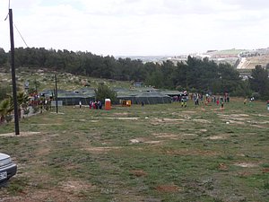 P1010617.JPG