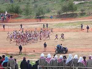 P1010635.JPG