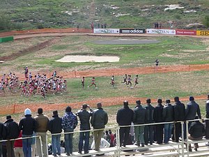P1010636.JPG
