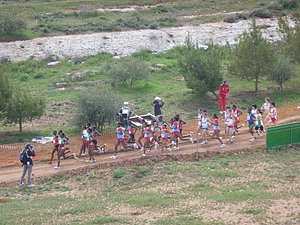 P1010642.JPG