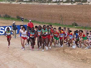 P1010643.JPG