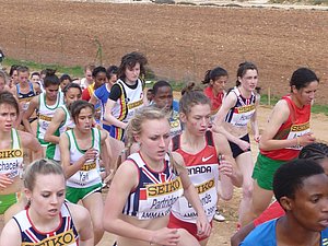 P1010647.JPG