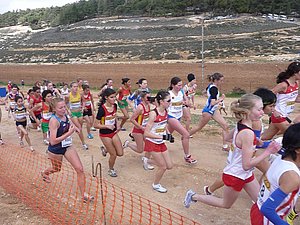 P1010648.JPG
