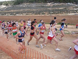P1010649.JPG