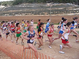 P1010650.JPG