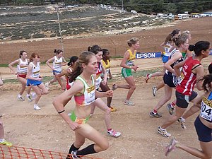 P1010651.JPG