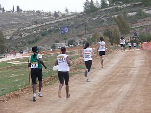 P1010653.JPG