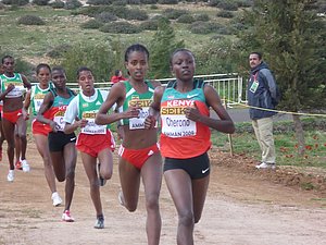 P1010655.JPG