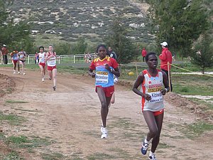 P1010664.JPG