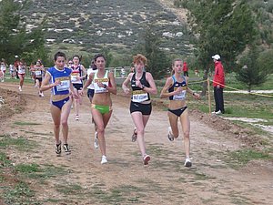 P1010675.JPG