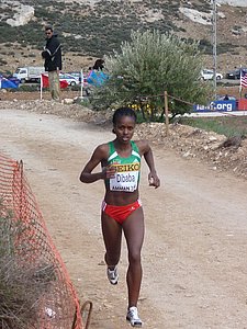 P1010692.JPG