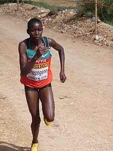 P1010696.JPG