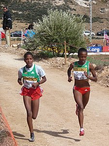 P1010697.JPG