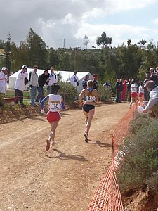 P1010716.JPG